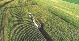 Mazot ve Gübre Desteği Yatıyor! 2026 Sorgulama Yöntemleri Burada!